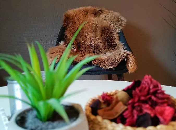 Right In The Centre Stavanger